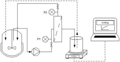 Recovery and Purification of Protein Aggregates From Cell Lysates Using Ceramic Membranes: Fouling Analysis and Modeling of Ultrafiltration